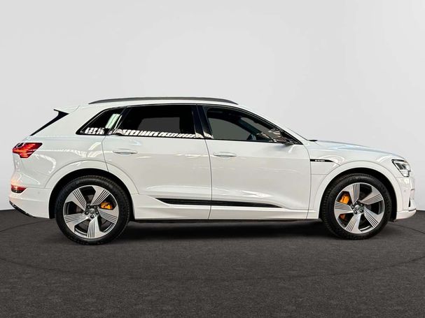 Audi e-tron 55 quattro Advanced 300 kW image number 20