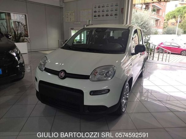 Fiat Panda 51 kW image number 1