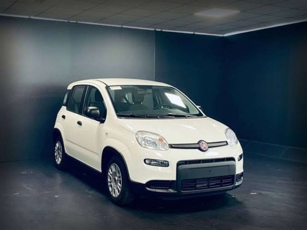 Fiat Panda 1.0 Hybrid 51 kW image number 1