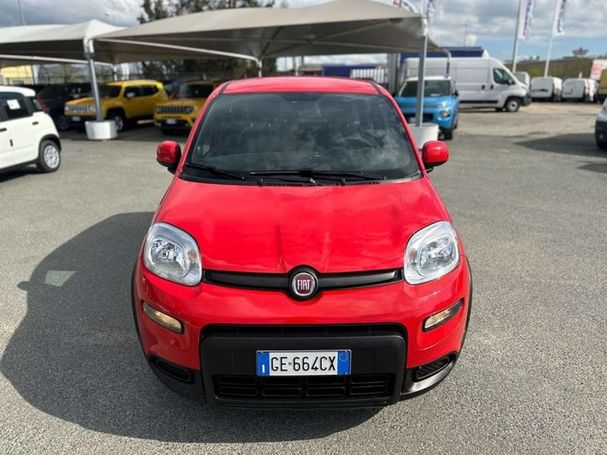 Fiat Panda 1.0 Hybrid Sport 51 kW image number 3