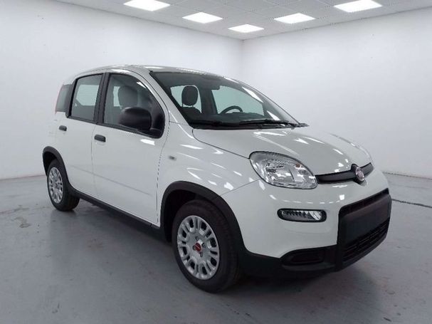 Fiat Panda 1.2 51 kW image number 2