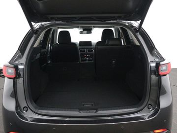 Car image 33