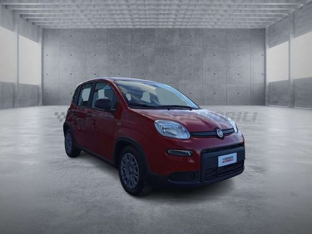 Fiat Panda 51 kW image number 4