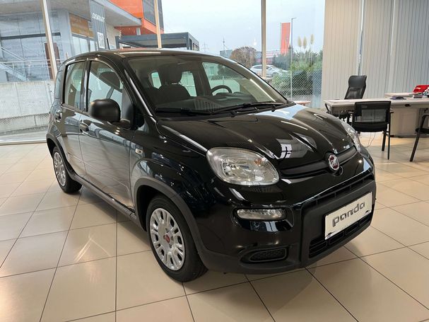 Fiat Panda 51 kW image number 2