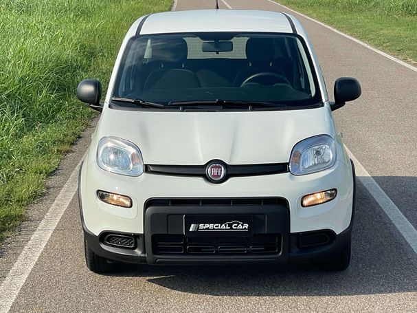 Fiat Panda 1.0 Hybrid 51 kW image number 3