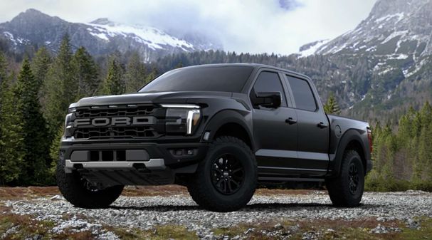 Ford F-150 335 kW image number 5