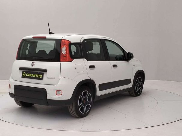 Fiat Panda 1.0 Hybrid City 51 kW image number 5