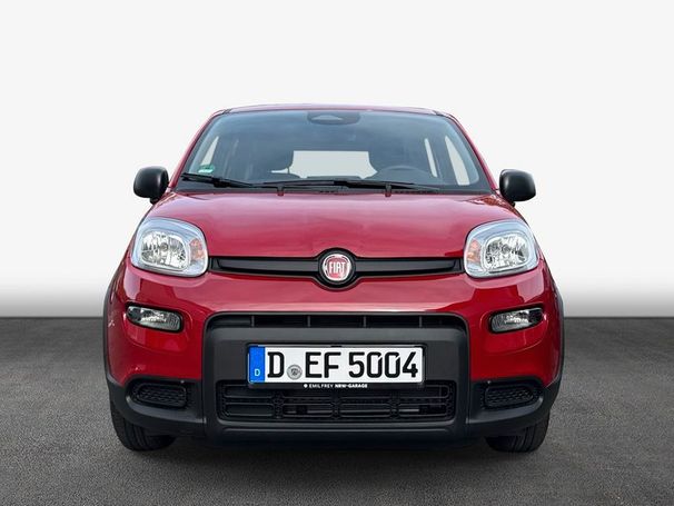 Fiat Panda 51 kW image number 3