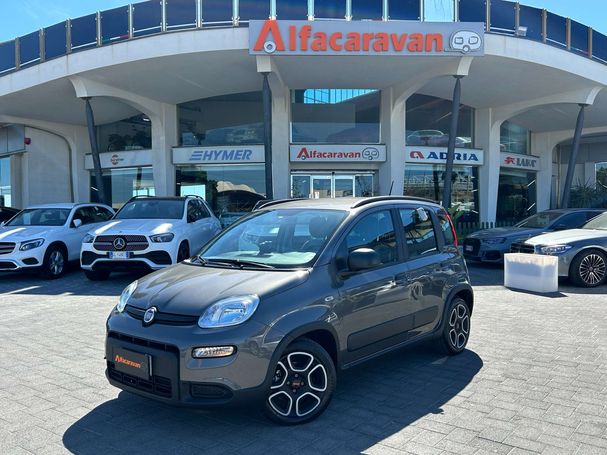 Fiat Panda 1.0 Hybrid City Life 51 kW image number 1