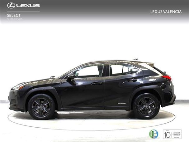 Lexus UX 250h 135 kW image number 4