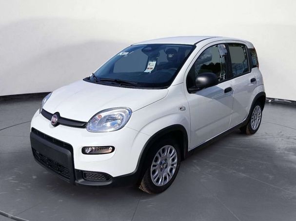 Fiat Panda 51 kW image number 1