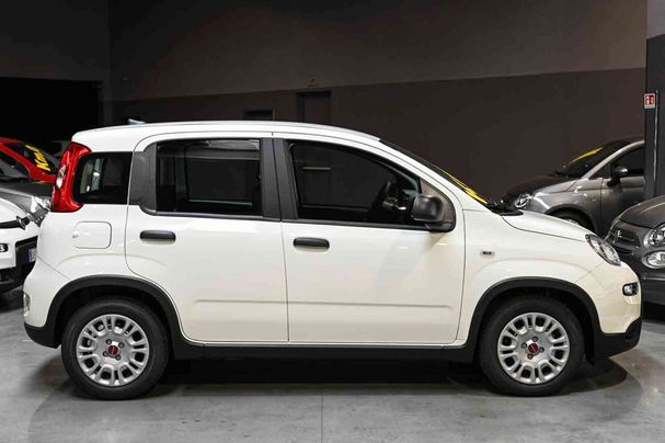 Fiat Panda 1.0 Hybrid 51 kW image number 5