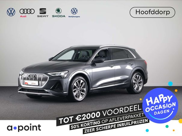 Audi e-tron 55 quattro 300 kW image number 1