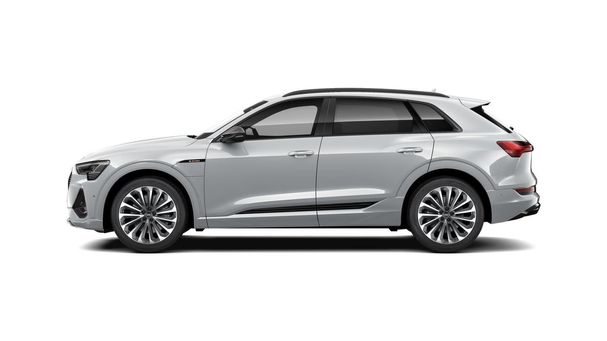 Audi e-tron 55 S-line 300 kW image number 6