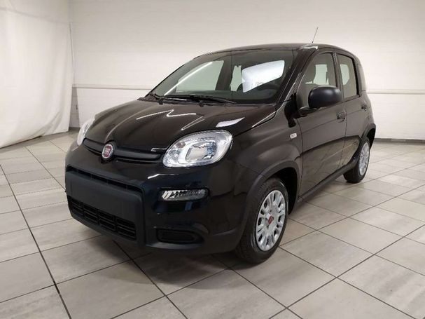 Fiat Panda 1.0 Hybrid 51 kW image number 1