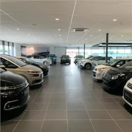 Car image 7