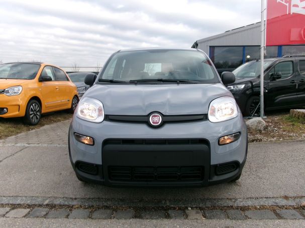 Fiat Panda 1.0 Hybrid 51 kW image number 2