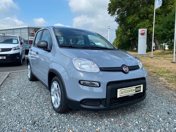 Fiat Panda 1.0 GSE Hybrid 51 kW image number 3