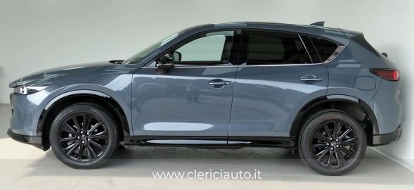 Car image 5