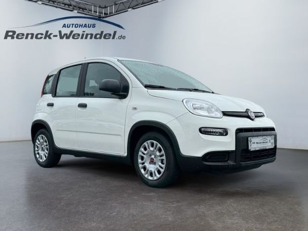 Fiat Panda 1.0 GSE 51 kW image number 7