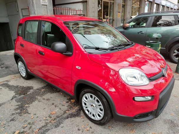 Fiat Panda 51 kW image number 2