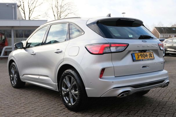 Ford Kuga 2.5 ST-Line 165 kW image number 6