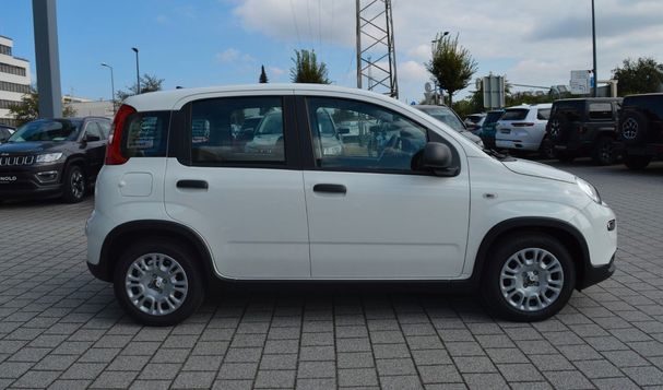 Fiat Panda 1.0 GSE Hybrid 51 kW image number 4