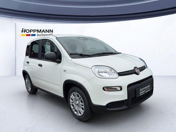 Fiat Panda 51 kW image number 2