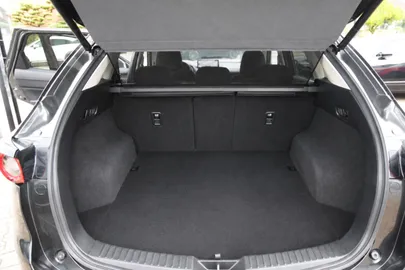 Car image 24