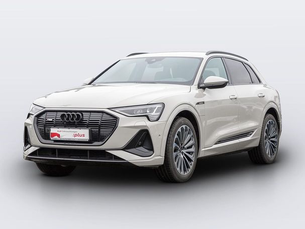 Audi e-tron 50 S-line 230 kW image number 1