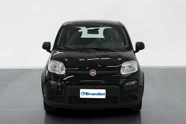 Fiat Panda 51 kW image number 3