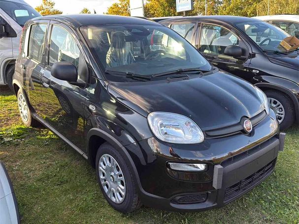 Fiat Panda 51 kW image number 2