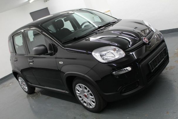 Fiat Panda 1.0 Hybrid 51 kW image number 2