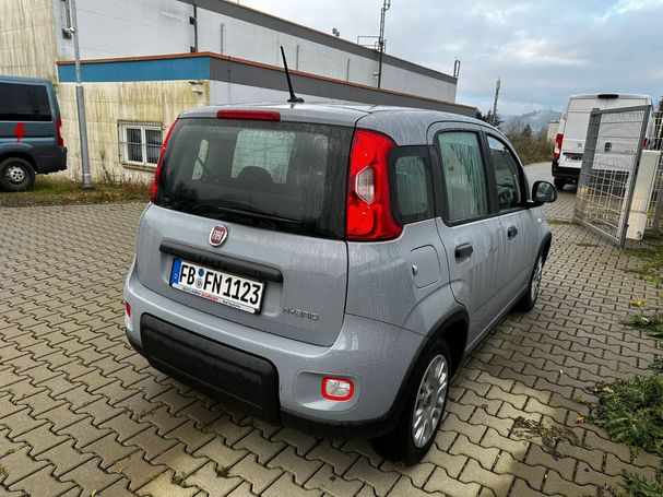 Fiat Panda Hybrid 51 kW image number 3