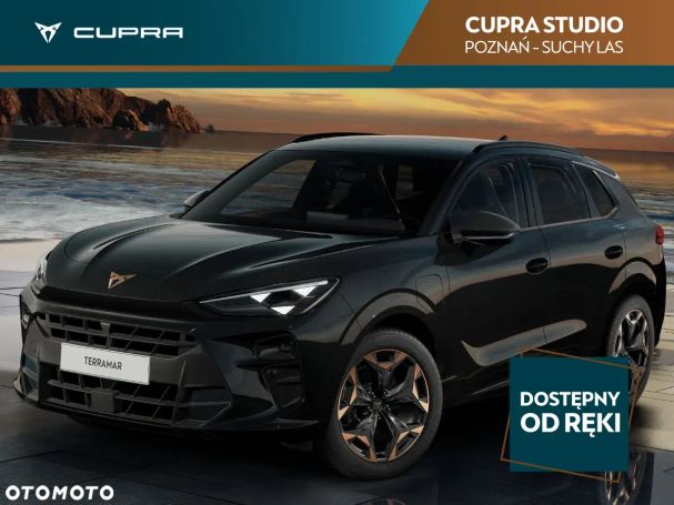 Cupra Terramar 110 kW image number 1