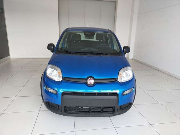 Fiat Panda 51 kW image number 3