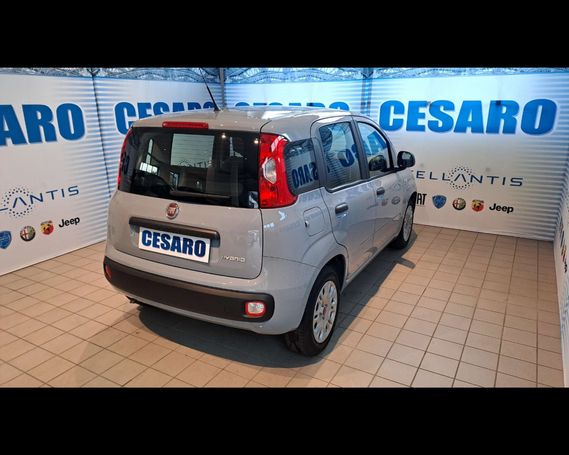 Fiat Panda 1.0 Hybrid 51 kW image number 3