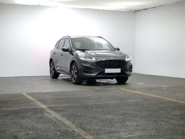 Ford Kuga 1.5 EcoBoost ST-Line 110 kW image number 3