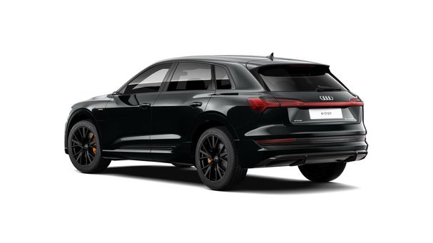 Audi e-tron 50 S-line 230 kW image number 5