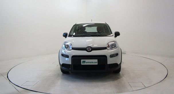 Fiat Panda 1.0 Hybrid 51 kW image number 4