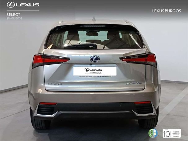 Lexus NX 300 145 kW image number 4