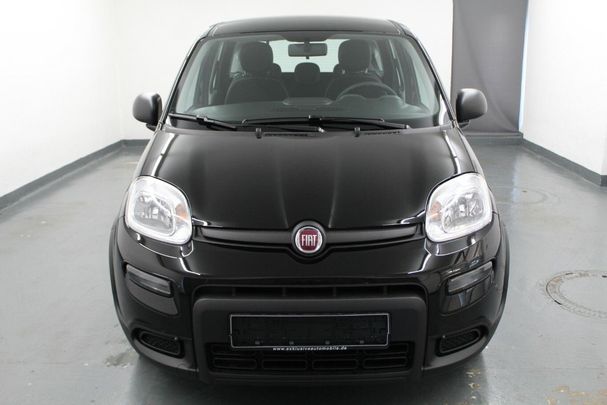 Fiat Panda 1.0 Hybrid 51 kW image number 11