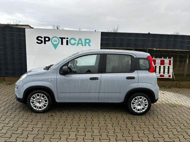 Fiat Panda Hybrid 51 kW image number 5