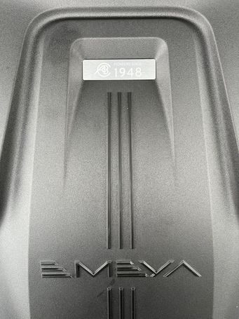 Lotus Emeya 450 kW image number 26