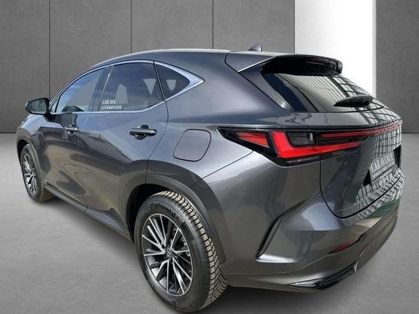 Lexus NX 350 h 179 kW image number 4