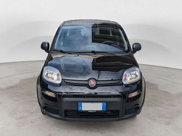 Fiat Panda 1.0 Hybrid 51 kW image number 3