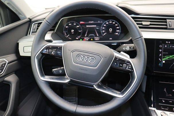 Audi e-tron 50 quattro 230 kW image number 15