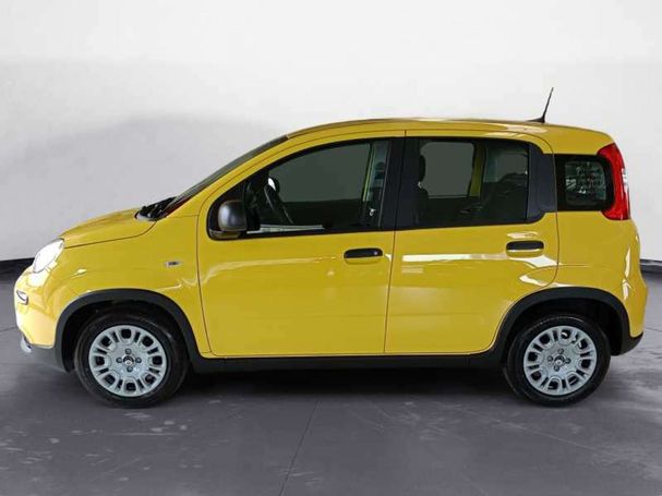 Fiat Panda 51 kW image number 5