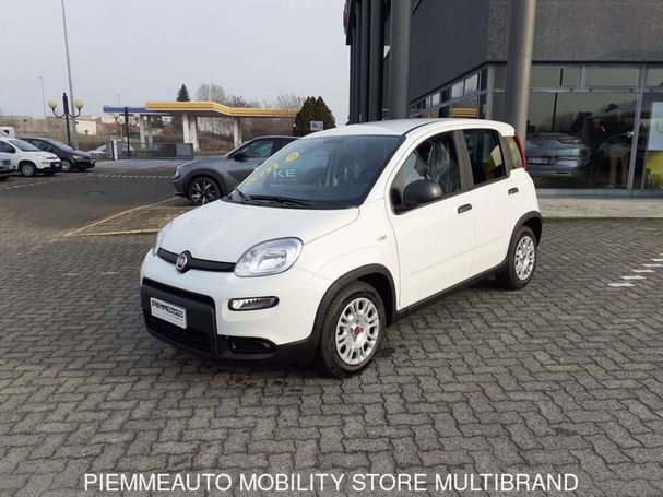 Fiat Panda 1.0 Hybrid 51 kW image number 1