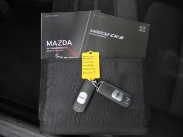 Car image 29